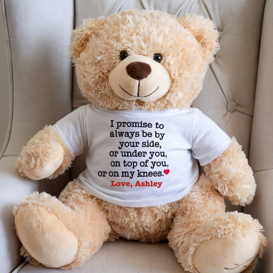 Funny Christmas Teddy bear Gift For Him