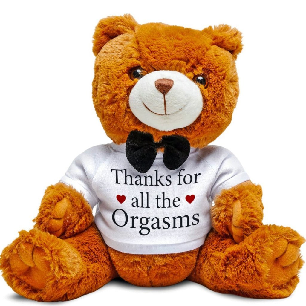 Funny Teddy Bear Valentine's Gift - Uniquethoughtful