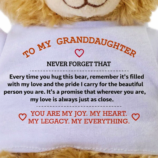 To My Granddaughter Teddy Bear Gift